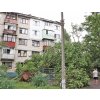 Вивернута з коренем липа впала на ганок колишнього УТОСУ по вул. Шевченка, 17 (27)